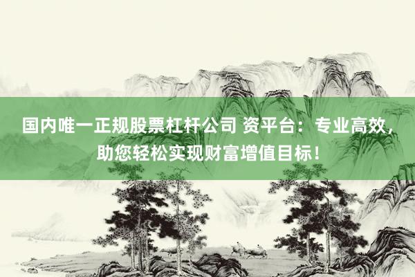 国内唯一正规股票杠杆公司 资平台：专业高效，助您轻松实现财富增值目标！