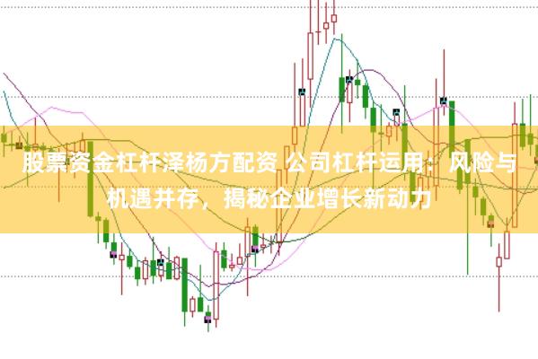 股票资金杠杆泽杨方配资 公司杠杆运用：风险与机遇并存，揭秘企业增长新动力