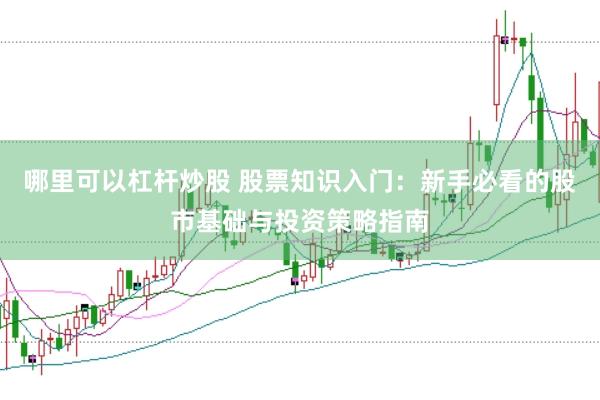 哪里可以杠杆炒股 股票知识入门：新手必看的股市基础与投资策略指南