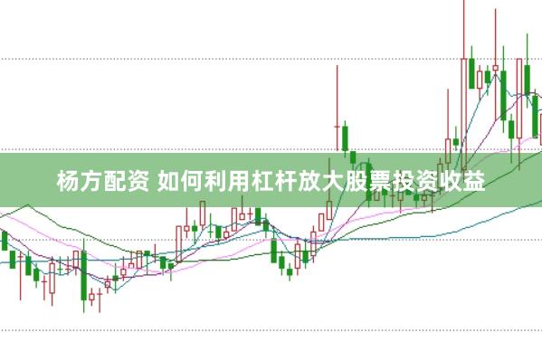 杨方配资 如何利用杠杆放大股票投资收益