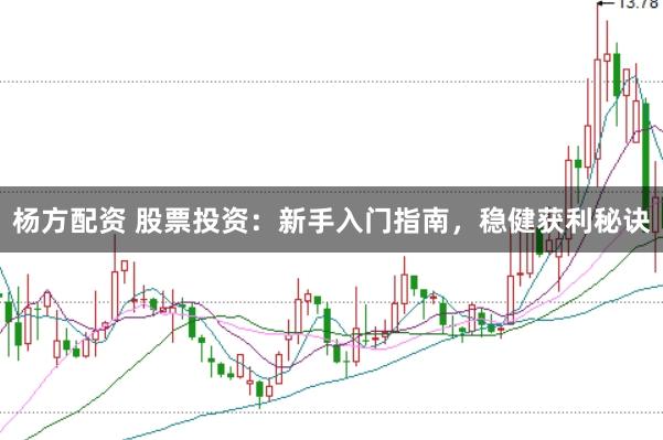 杨方配资 股票投资：新手入门指南，稳健获利秘诀
