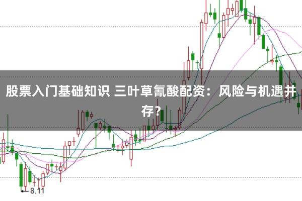 股票入门基础知识 三叶草氰酸配资:风险与机遇并存?