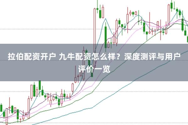 拉伯配资开户 九牛配资怎么样？深度测评与用户评价一览