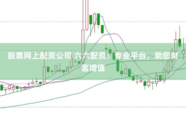 股票网上配资公司 六六配资：专业平台，助您财富增值