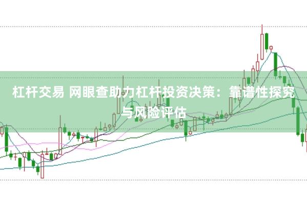 杠杆交易 网眼查助力杠杆投资决策：靠谱性探究与风险评估