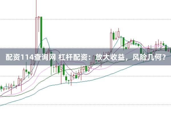 配资114查询网 杠杆配资：放大收益，风险几何？