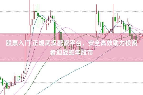 股票入门 正规武汉配资平台，安全高效助力投资者迎战蛇年股市