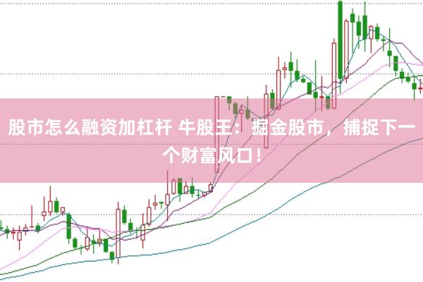 股市怎么融资加杠杆 牛股王：掘金股市，捕捉下一个财富风口！