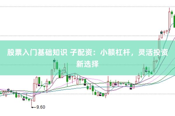 股票入门基础知识 子配资：小额杠杆，灵活投资新选择