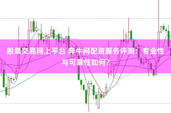 股票交易网上平台 奔牛网配资服务评测：专业性与可靠性如何？