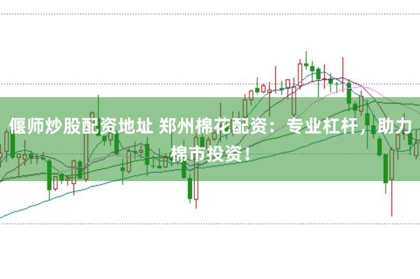 偃师炒股配资地址 郑州棉花配资：专业杠杆，助力棉市投资！