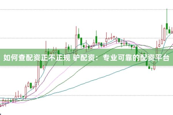 如何查配资正不正规 驴配资：专业可靠的配资平台
