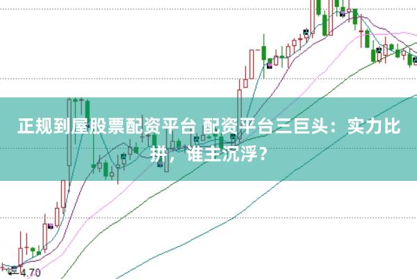 正规到屋股票配资平台 配资平台三巨头：实力比拼，谁主沉浮？