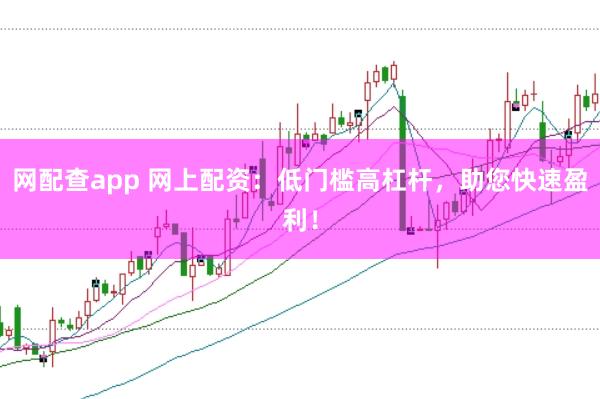 网配查app 网上配资：低门槛高杠杆，助您快速盈利！