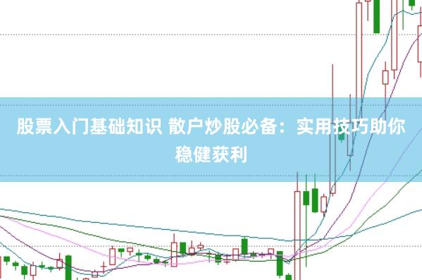 股票入门基础知识 散户炒股必备:实用技巧助你稳健获利